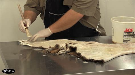 Image result for Mini Fleshing Machine