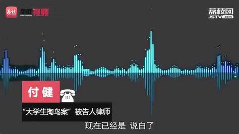 河南大学生掏鸟案再审申诉被驳回 被告父亲：不敢告诉儿子_腾讯视频
