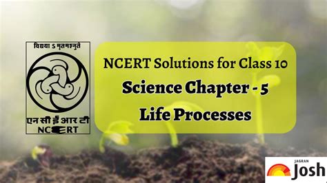 Image result for Class 10 Science Life Process NCERT Tutorial