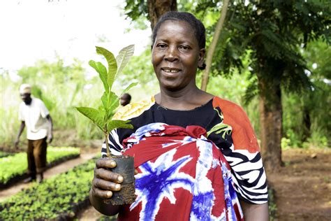 EBARR project promotes climate smart agriculture in rural - Daily News