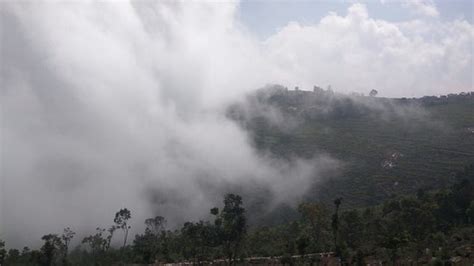 Kotagiri Pictures - Traveller Photos of Kotagiri, The Nilgiris District ...