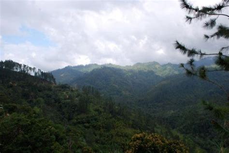 Blue Mountains National Park Tourism (2023): Best of Blue Mountains ...