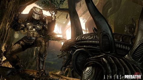 Image result for Alien vs Predator Mail.ru