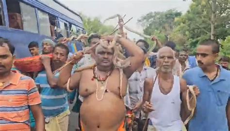 Snakes In Mouths, Around Necks! Bihar's Wild Nag Panchami Fair Where ...