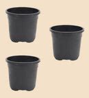 Gardening Pots - Black – Ugaoo