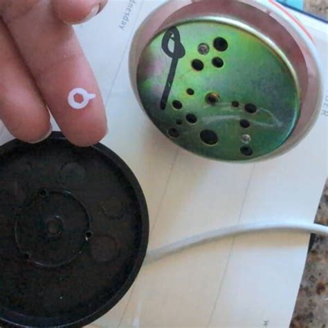 Image result for Ladybug Computer Mouse