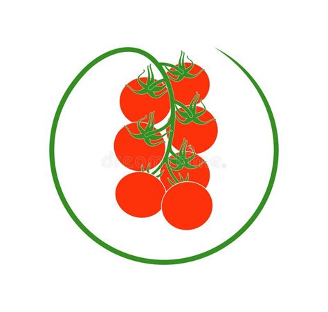只有一个西红柿，品牌设计师该如何设计？_设计师正方形-站酷ZCOOL