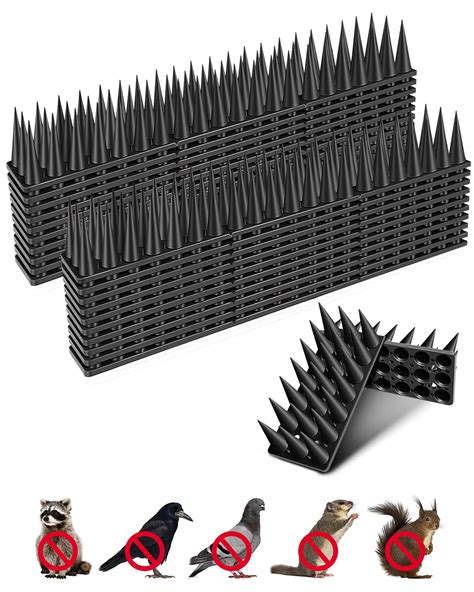 Spikes To Stop Birds Nesting | Fun Facts about Bird Nests - FQBL