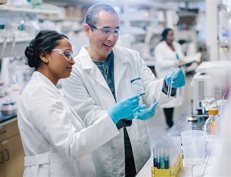 Medical Technologist, Reg, Lab Client, 40 hrs, Variable at Kaiser ...