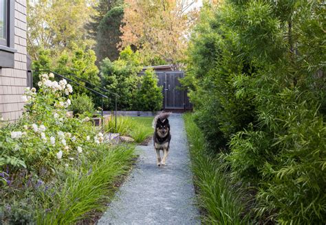 Decomposed Granite: Hardscaping 101