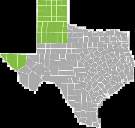 Image result for Texas Exploding Heart Quilt Block Pattern