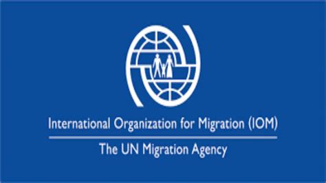 Over 400 illegal immigrants sent back to Libya: IOM
