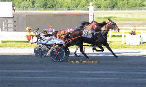 plainBig Skewy N - U.S. Trotting News