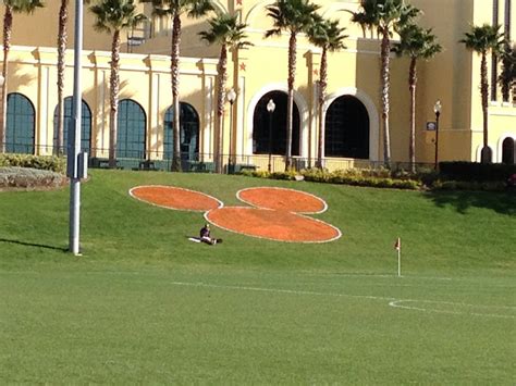 Disney Junior Sports 的图像结果