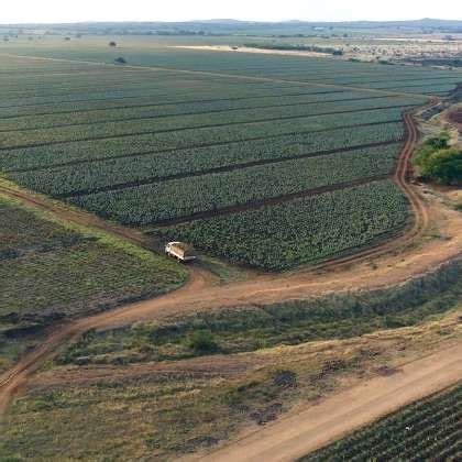 Forever Living Products Office Photos