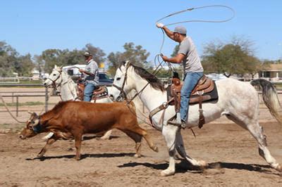 Beginner Roping Lessons 的图像结果
