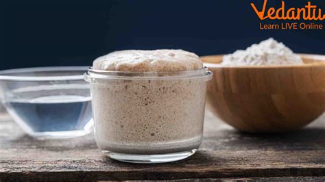 Yeast Fermentation Experiment: Things You Did Not Know About It.