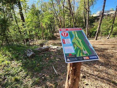 Image result for Disc Golf Sign Examples