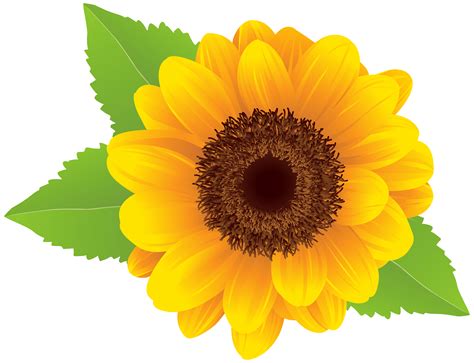 Free Sunflower Background Cliparts, Download Free Sunflower Background ...