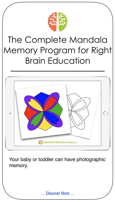 Image result for Right Brain Learning
