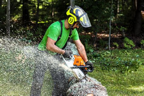 Image result for Tree Top Tree Service