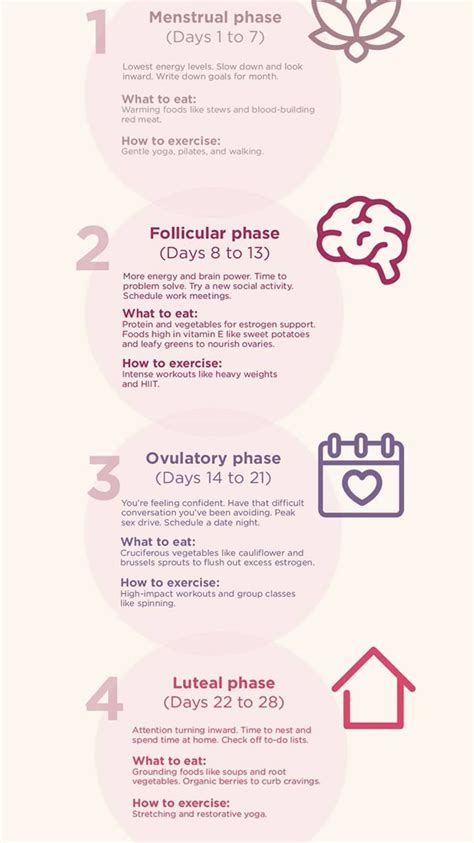 Luteal phase of the menstrual cycle - Artofit