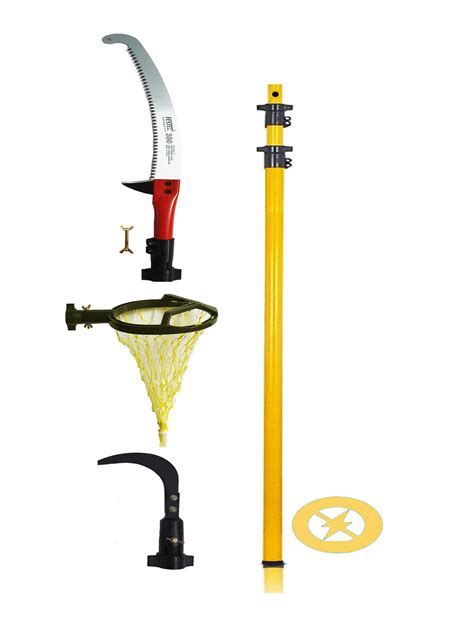 Buy FESTEL Hand-Powered Pruning Saw with Telescopic Pole, Coconut ...