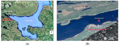 Phylogeny and Metabolic Potential of New Giant Sulfur Bacteria of the ...