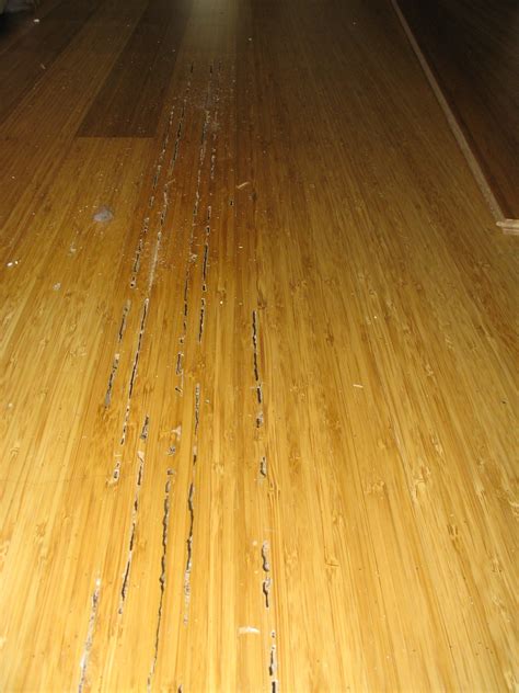 Do Termites Eat Bamboo Flooring – Flooring Ideas