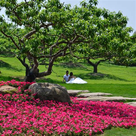 CHENGDU BOTANICAL GARDEN (2025) All You Need to Know BEFORE You Go ...