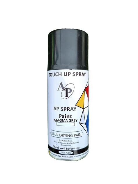 AP Aerosol Touch up Spray Paint for Maruti Cars (Magma Grey) (for ...