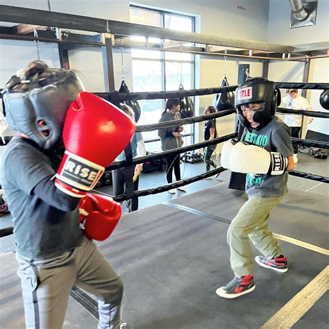 Boxing Kid 的图像结果