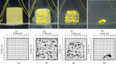 Double porous clay fills | IITBombay