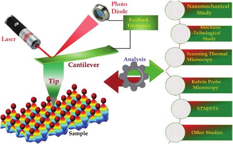 Image result for MATLAB SPM Model Analysis