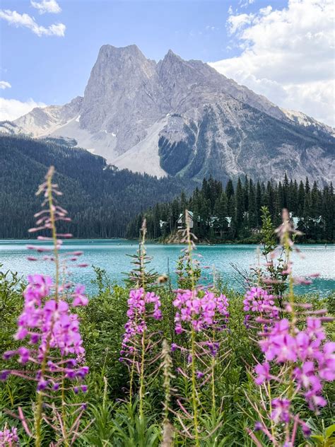 Things to do in Banff in Summer - The Eager Traveler