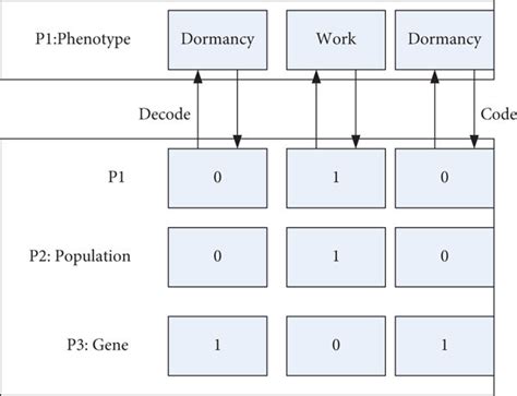 Genetic Algorithm in Intelligent Systems 的图像结果