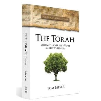 Image result for Torah Commentary