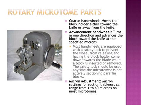 Image result for Microtome Tutorial