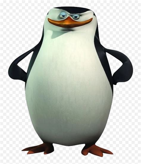 Madagascar Penguin Png Image - Penguins Of Madagascar Kowalski,Penguin ...