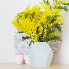 mimosa in vaso 10 mazzi di mimose per colorare il vostro inverno mimosa in vaso 10 mazzi di mimose per colorare il vostro inverno