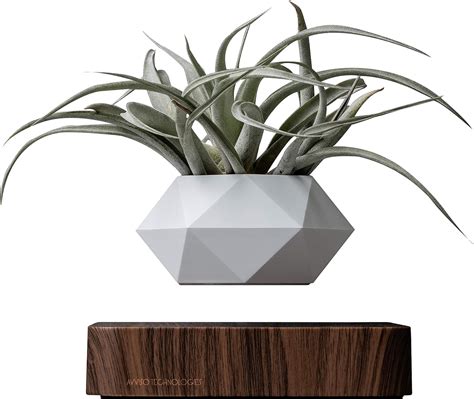 Amazon.com : Authentic Levitating Floating Plant Pot for Air Plants ...