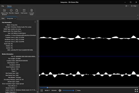 Open WMA File 的图像结果