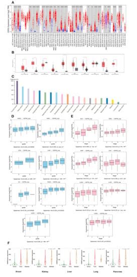 A Comprehensive Pan-Cancer Analysis Identifies CEP55 as a Potential ...