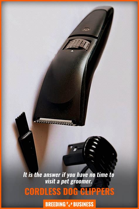 11 Best Cordless Dog Clippers – Reviews, Battery, Sound, Speeds & FAQs