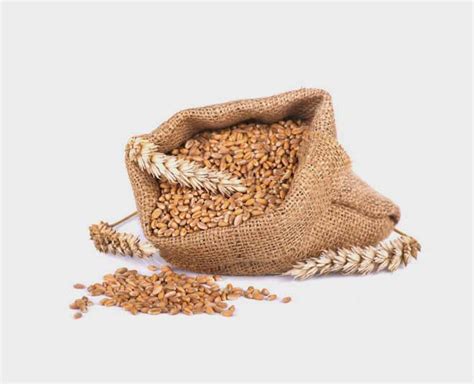 5 Best Wheat Eating Practices In Hindi | 5 best wheat eating practices ...