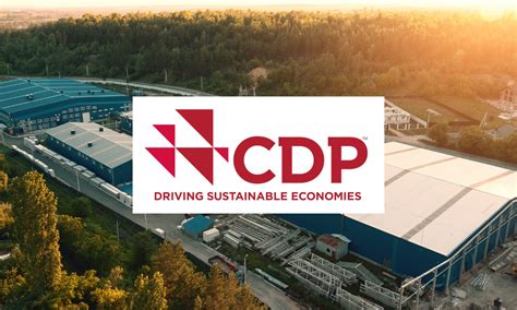 CDP disclosure support: Carbon Disclosure Project – Bioregional