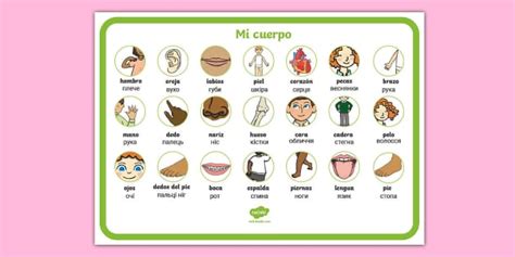 Tapiz de vocabulario: Mi cuerpo - Español / Ucraniano