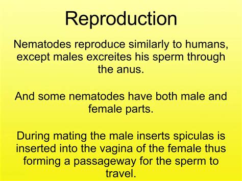 Nematodes | PPT
