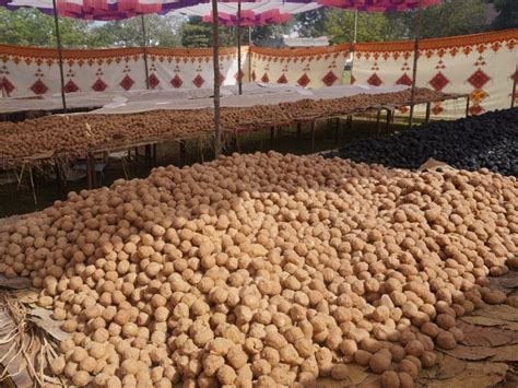 ISKCON temple in Vadodara distributes 25,000 food packets in slums on ...