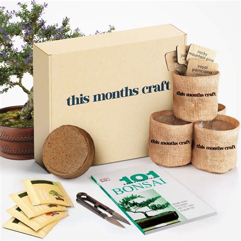 This Month's Craft DIY Subscription Box – This Months Craft